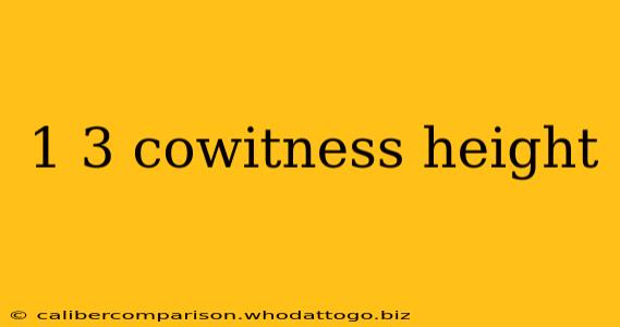 1 3 cowitness height