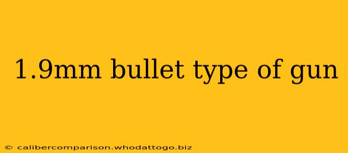 1.9mm bullet type of gun