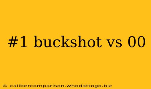 #1 buckshot vs 00