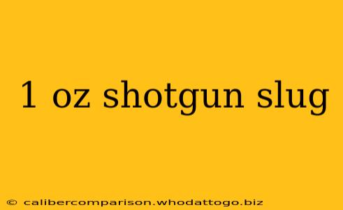 1 oz shotgun slug