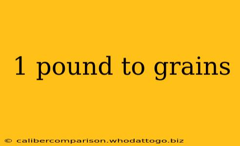 1 pound to grains