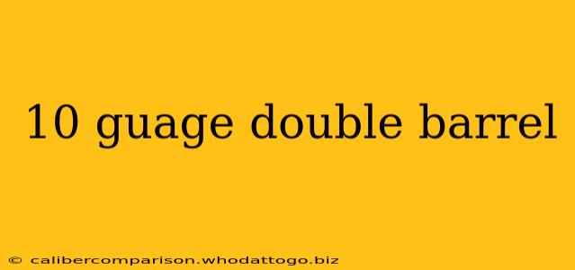 10 guage double barrel