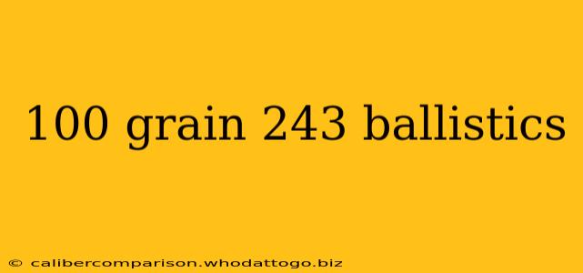 100 grain 243 ballistics