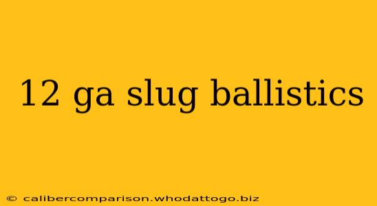 12 ga slug ballistics