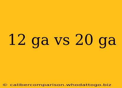 12 ga vs 20 ga