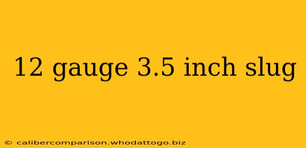 12 gauge 3.5 inch slug