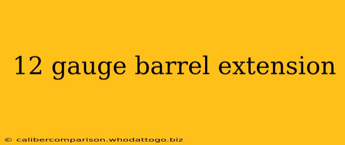 12 gauge barrel extension