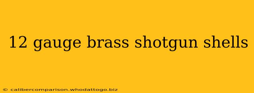 12 gauge brass shotgun shells