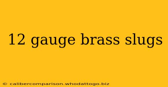 12 gauge brass slugs