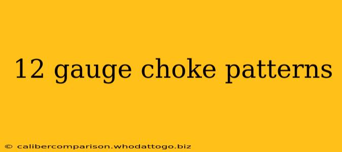 12 gauge choke patterns