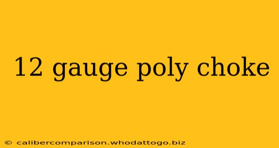 12 gauge poly choke