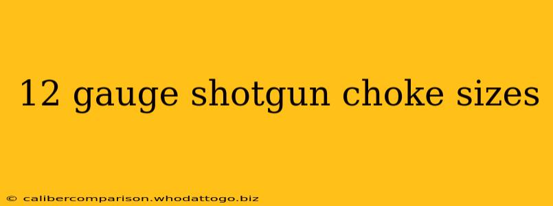 12 gauge shotgun choke sizes