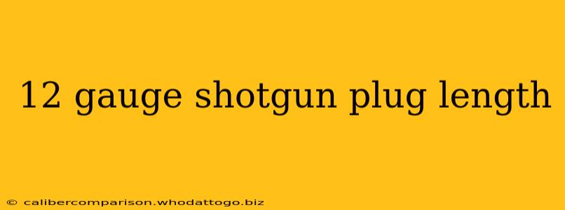 12 gauge shotgun plug length