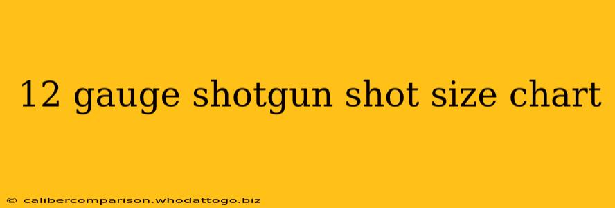 12 gauge shotgun shot size chart