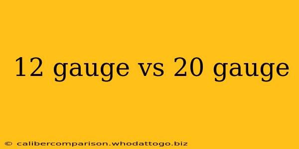 12 gauge vs 20 gauge