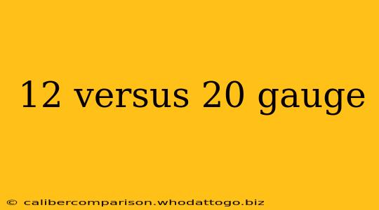 12 versus 20 gauge