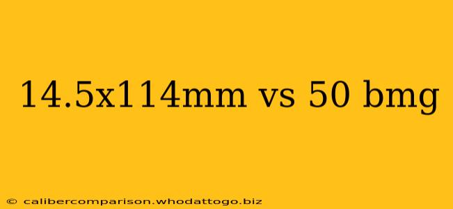 14.5x114mm vs 50 bmg