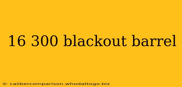 16 300 blackout barrel