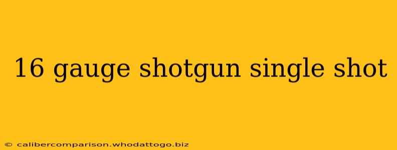 16 gauge shotgun single shot