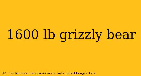 1600 lb grizzly bear