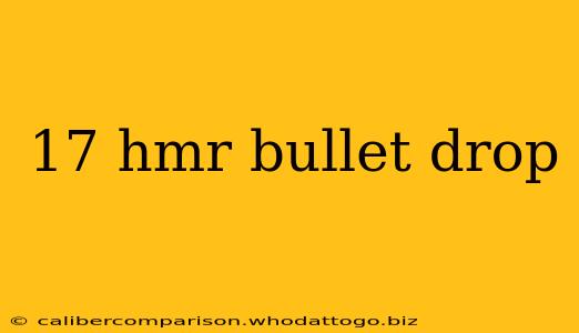 17 hmr bullet drop