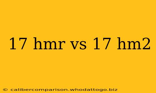 17 hmr vs 17 hm2