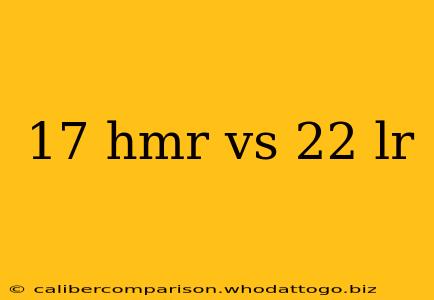 17 hmr vs 22 lr