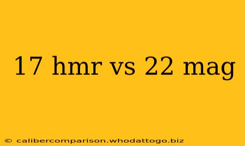 17 hmr vs 22 mag