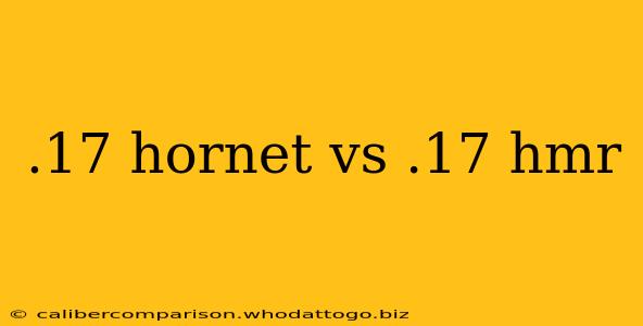 .17 hornet vs .17 hmr