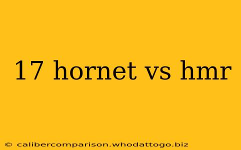 17 hornet vs hmr