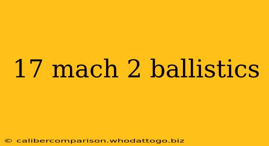 17 mach 2 ballistics