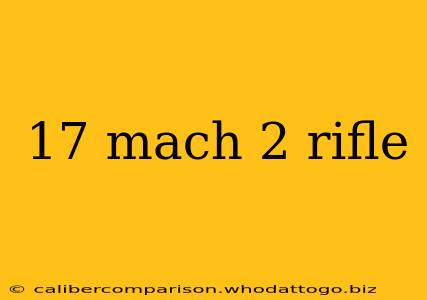 17 mach 2 rifle