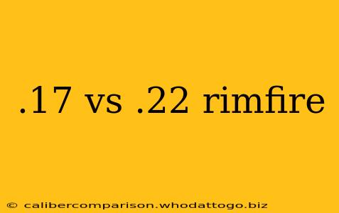 .17 vs .22 rimfire