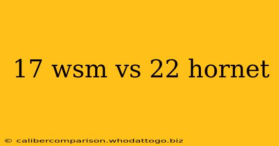 17 wsm vs 22 hornet