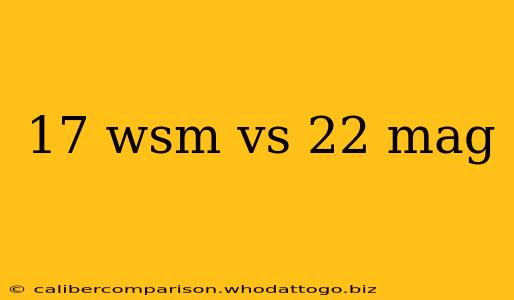 17 wsm vs 22 mag