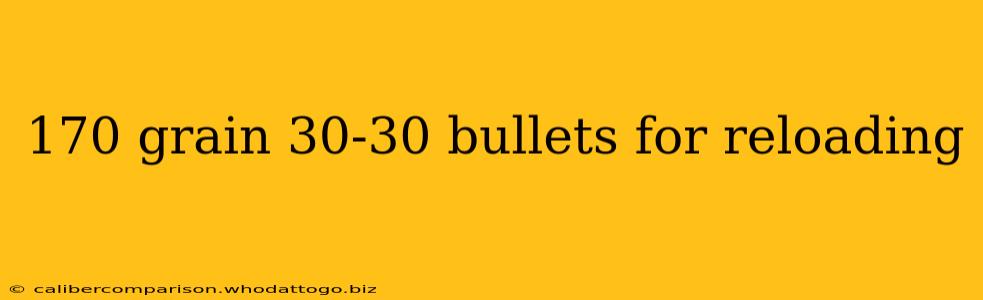 170 grain 30-30 bullets for reloading