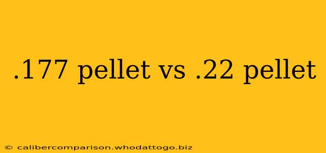 .177 pellet vs .22 pellet