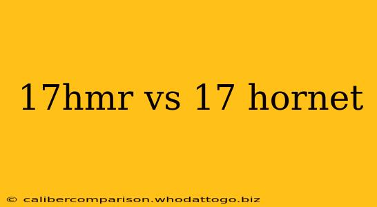 17hmr vs 17 hornet