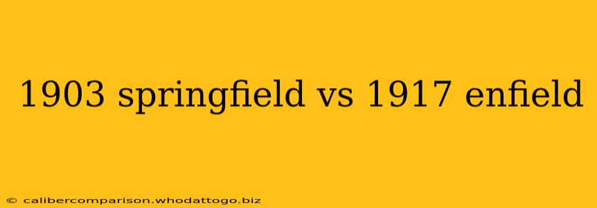 1903 springfield vs 1917 enfield