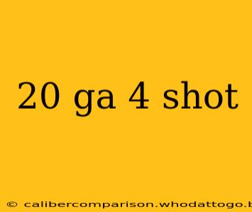 20 ga 4 shot