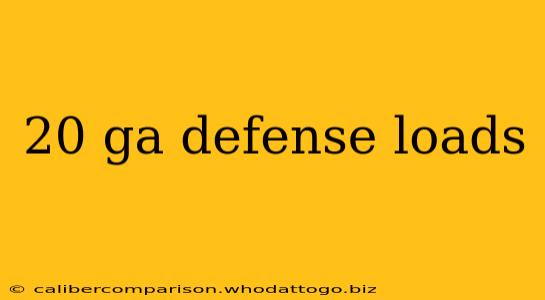 20 ga defense loads