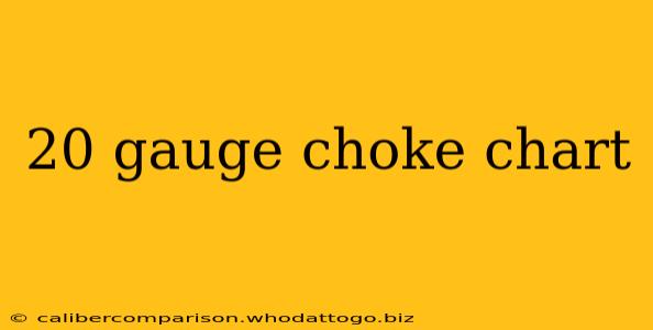 20 gauge choke chart