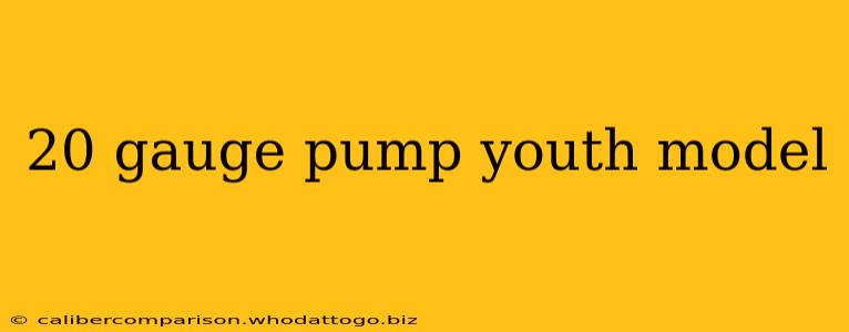 20 gauge pump youth model