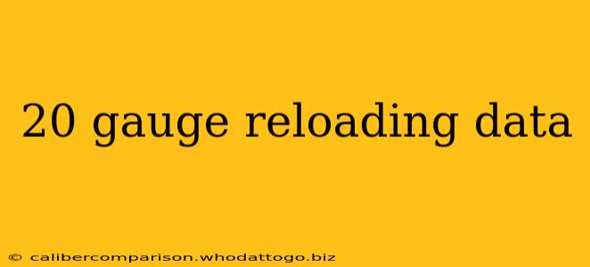 20 gauge reloading data