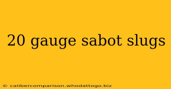 20 gauge sabot slugs