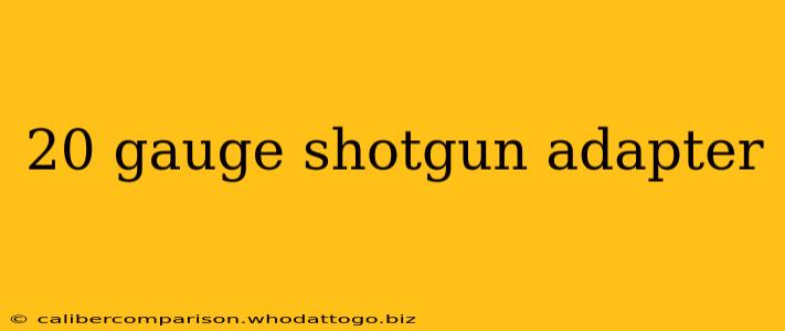 20 gauge shotgun adapter