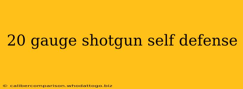 20 gauge shotgun self defense