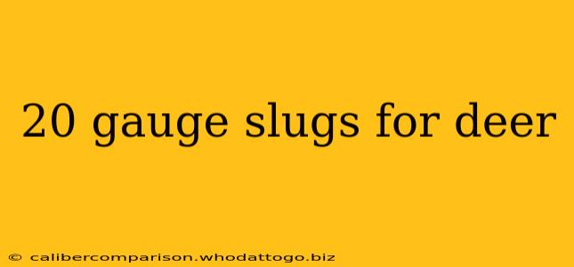 20 gauge slugs for deer