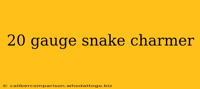 20 gauge snake charmer