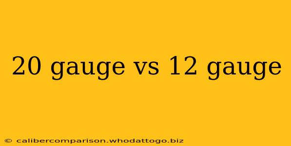 20 gauge vs 12 gauge